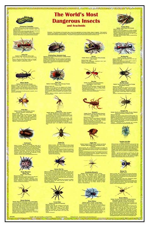 poisonous insects